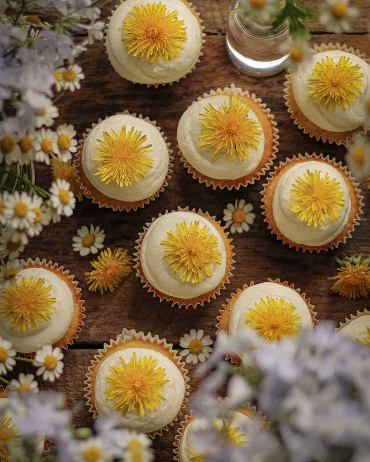 Top view of dandelion cupcakes, frosted with lemon buttercream frosting and each topped with a fresh dandelion flower. 
