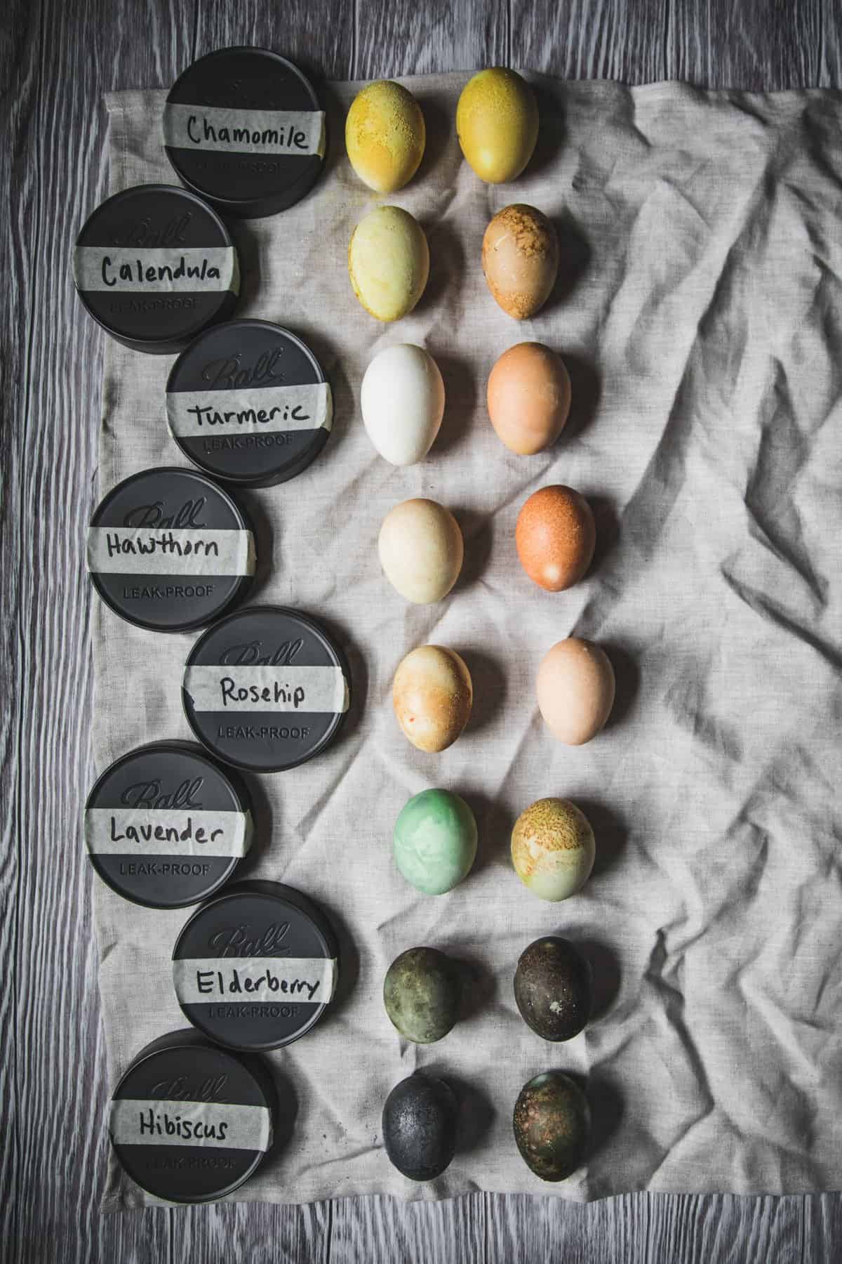 dyed eggs in a line showing the different herbs used and the colors they made