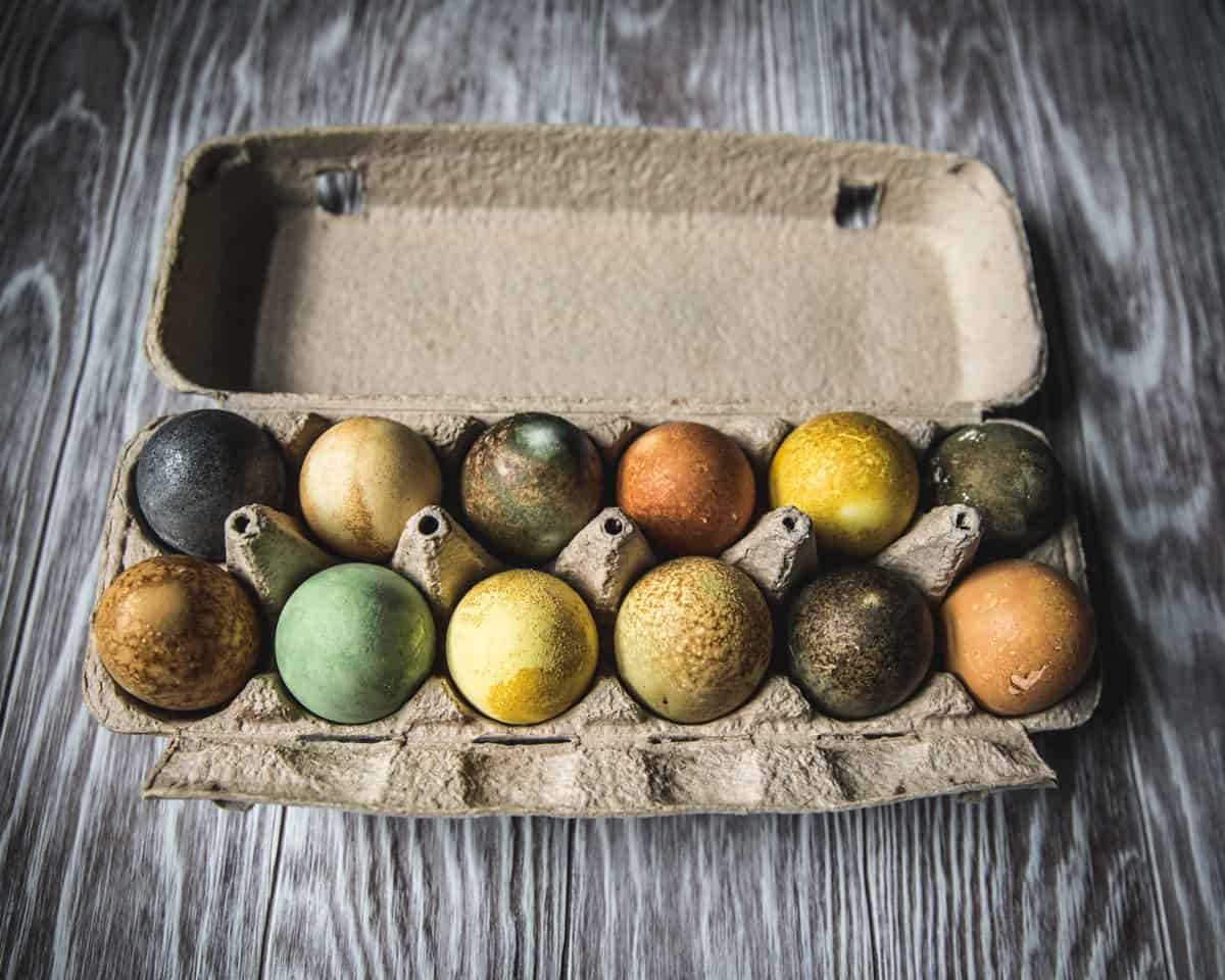 herbal tea dyed eggs in an egg carton
