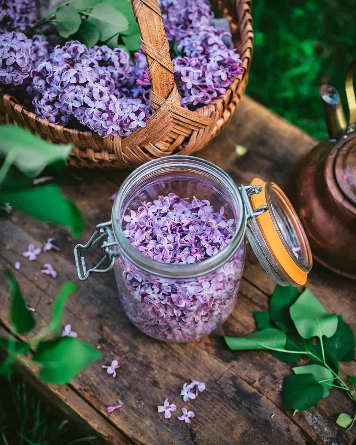 An open jar filled with lilac flowers that have been plucked from their stem.