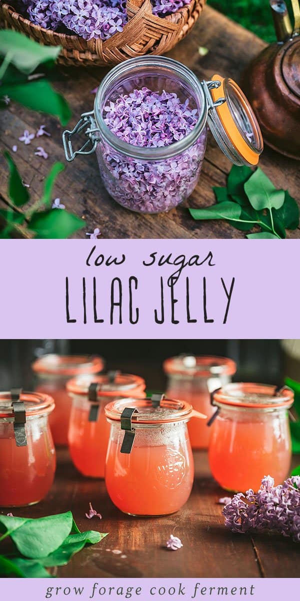 Lilac Jelly Low Sugar Recipe with Edible Lilac Flowers