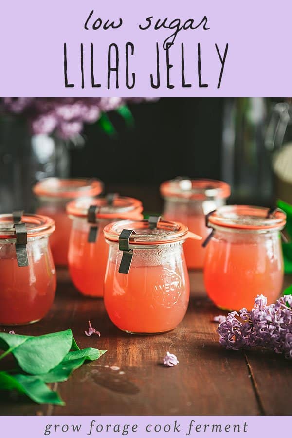 Jars filled with pink lilac jelly surrounded by lilac flowers. 