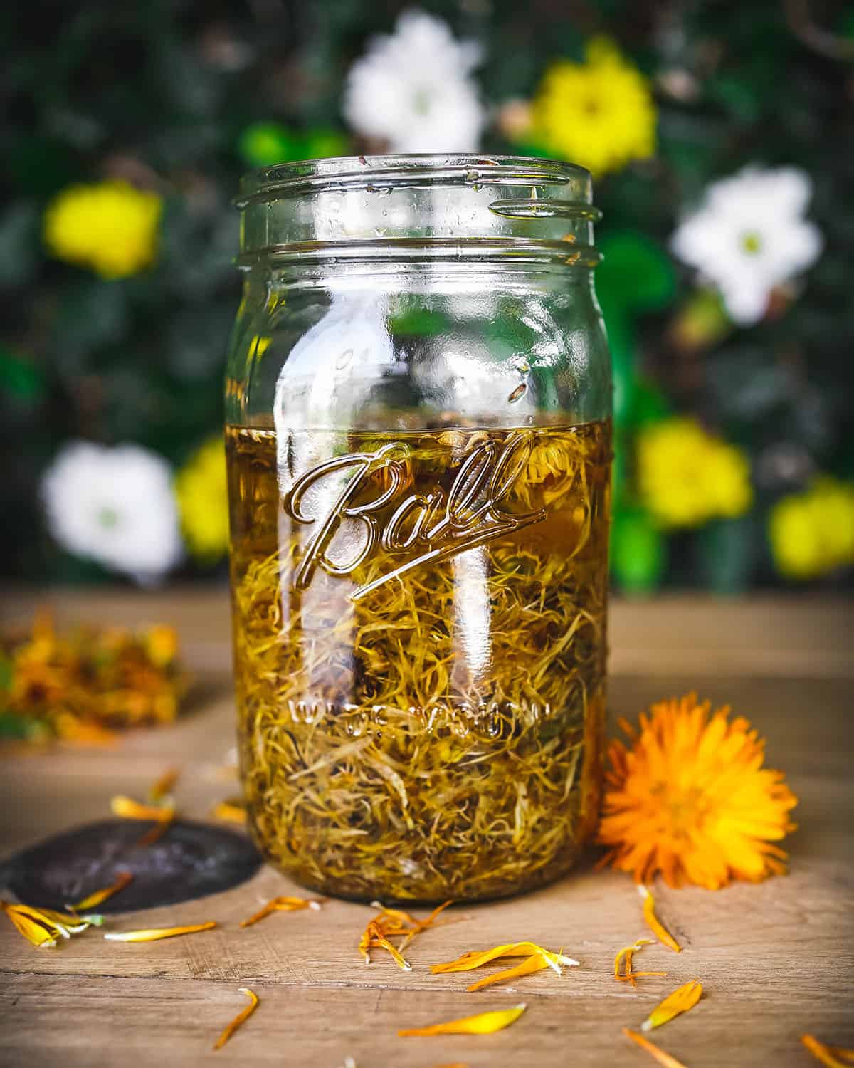 Jar of calendula infused oil surrounded by calendula flowers and petals. 