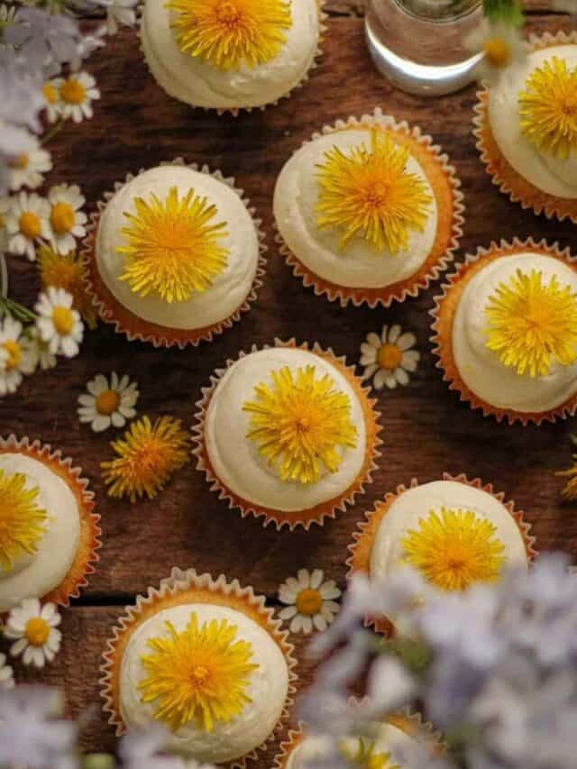 10 Easy Dandelion Recipes You Need to Try This Spring Grow Forage