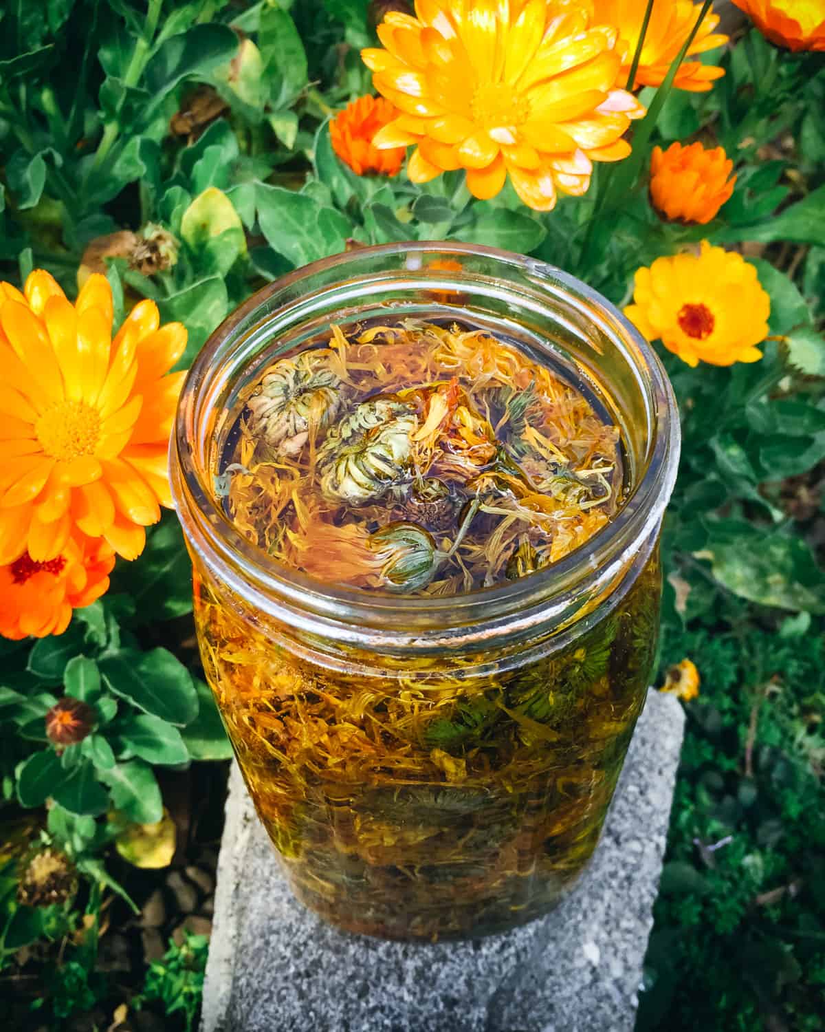 Fall is a great time of year to start thinking about making herbal oils as you hopefully have some dried herbs that you've collected throughout the summer. Making an infused herbal oil is the first step in making numerous all-natural body care recipes like herbal salves, body butters, and creams. Making an infused oil is easier than you might think, and the perfect first project for a beginner herbalist.
