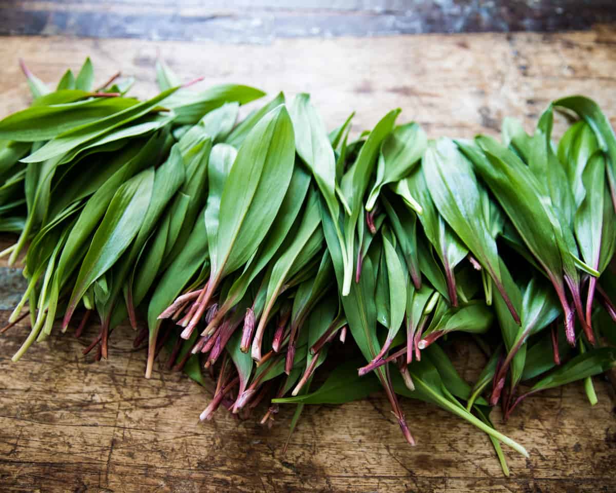 foraged ramp leaves on a wooden table