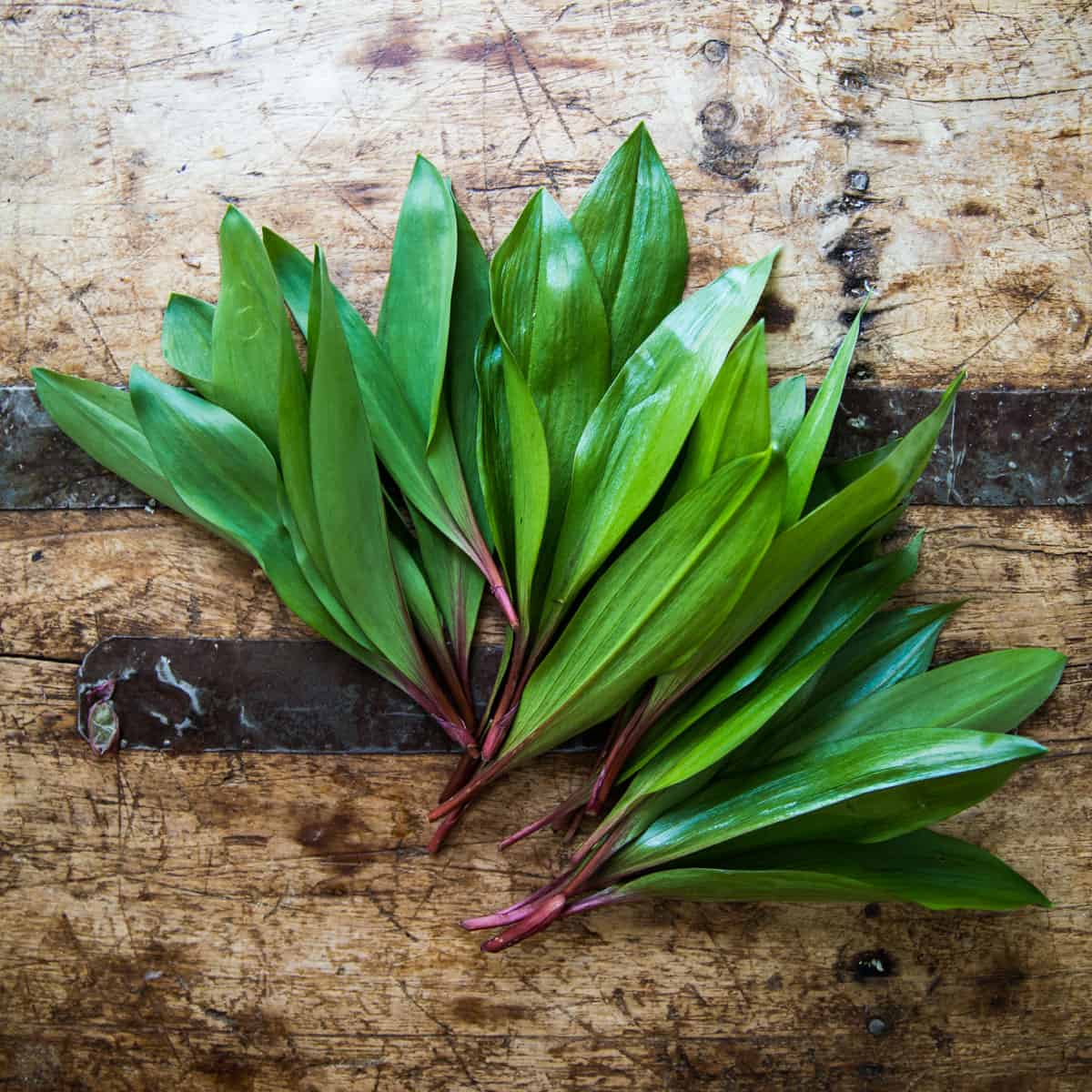 ramp leaves on a table