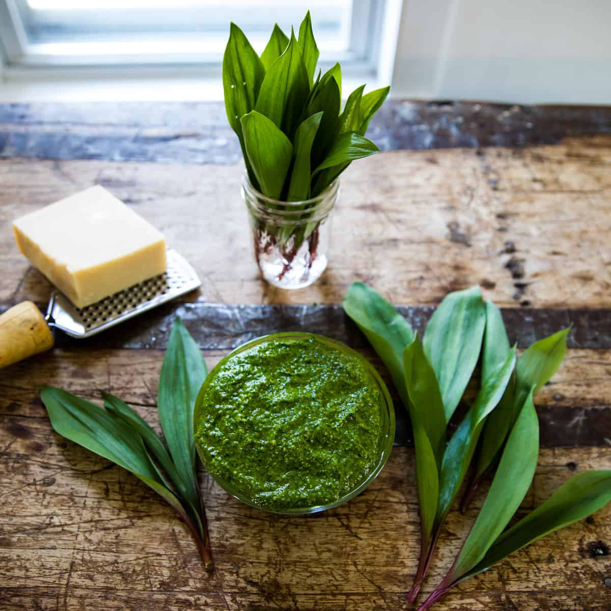 ramp pesto on a table with wild ramp leaves