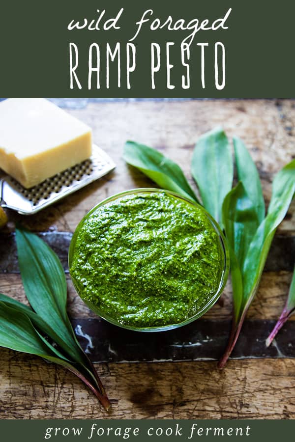 a bowl of ramp pesto on a wooden table