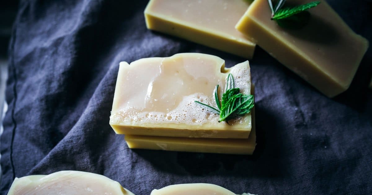 Rosemary Mint Shampoo Bars-image