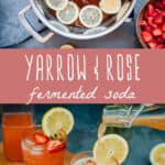 Top pic is of a pot with yarrow, rose, and sliced lemons in liquid, bottom is of finished fermented soda, with a dusty pink middle banner reading yarrow and rose fermented soda.