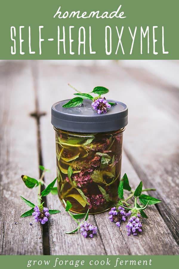 A jar of self-heal oxymel with a lid, and several self-heal flowers surrounding, with a green banner up top that reads homemade self-heal oxymel. 