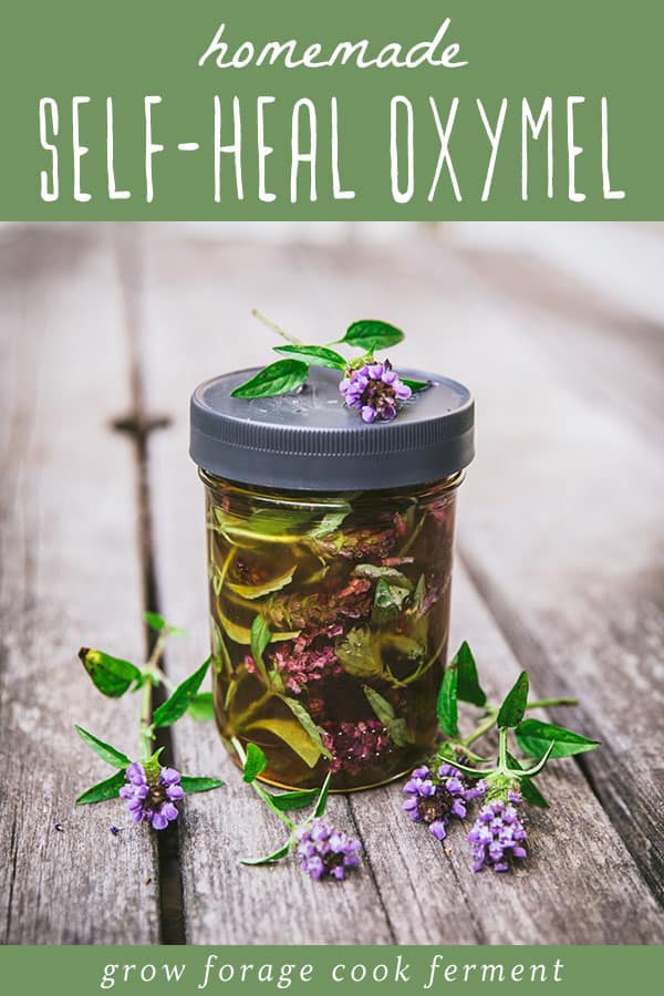 A jar of self-heal oxymel with a lid, and several self-heal flowers surrounding, with a green banner up top that reads homemade self-heal oxymel.