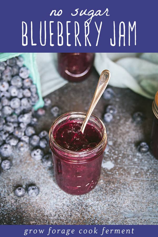 Blueberry jam in a jar with a spoon, surrounded by fresh blueberries. A top banner reads no sugar blueberry jam.