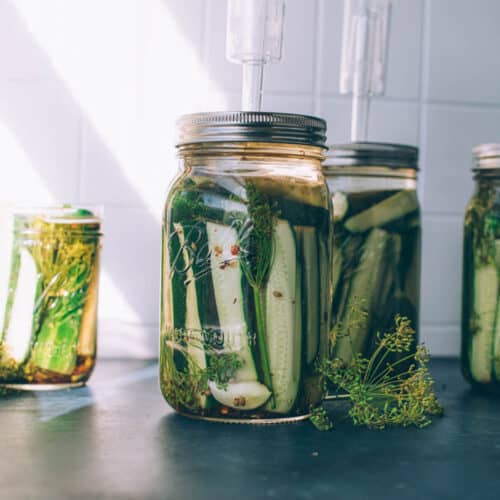 Homemade Fermented Cucumber Dill Pickles