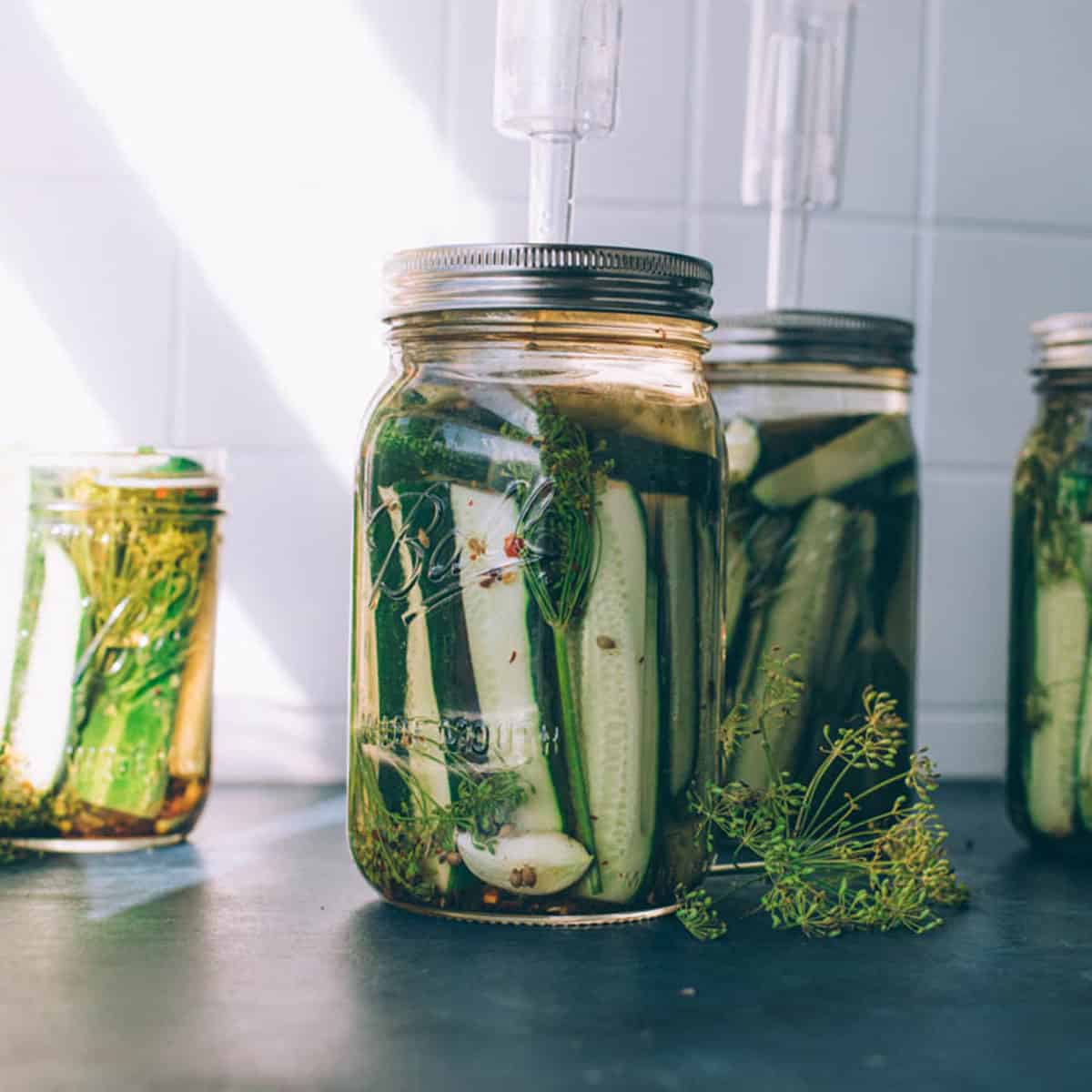 Pickling cucumbers fermenting in jars with airlock lids.