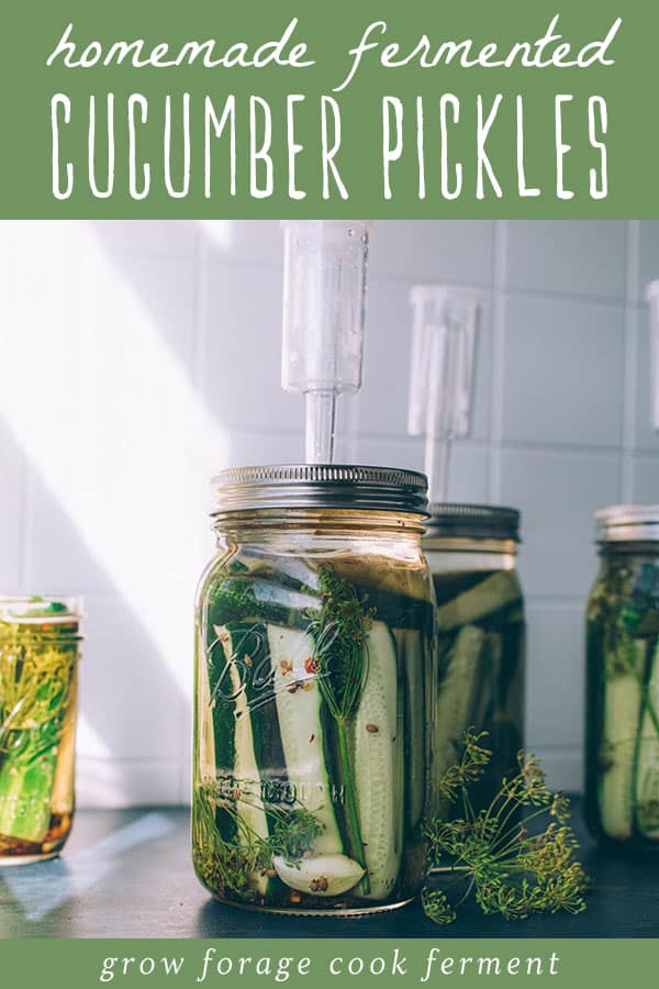 Jars fermenting pickles with airlock lids, and a green banner at top reading homemade fermented pickles.