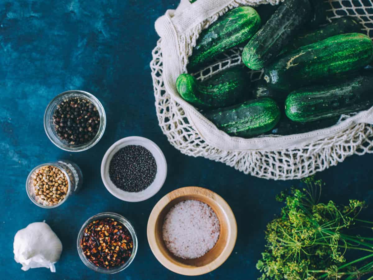 Small bowls of pickling spices and a mesh bag filled with pickling cucumbers. 