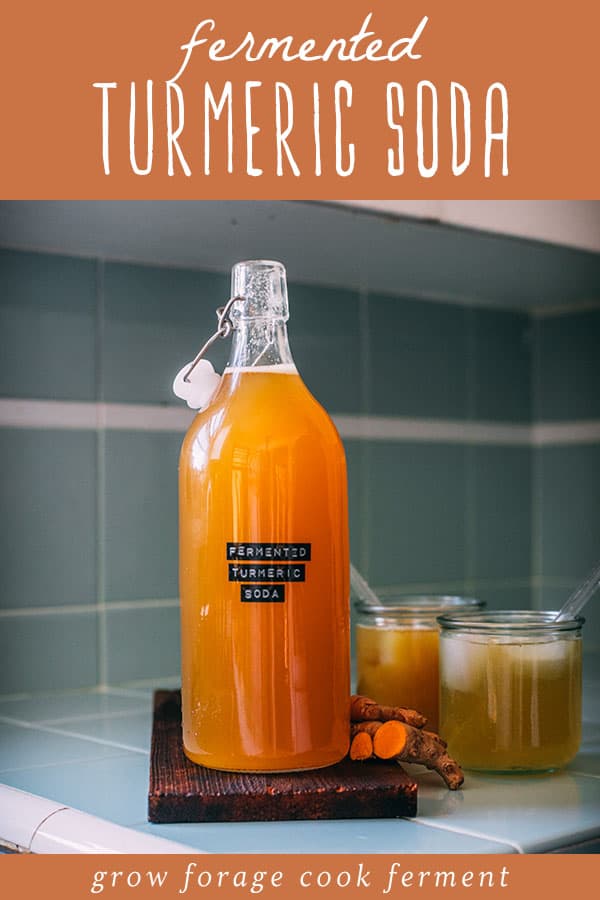 A flip top bottle of fermented turmeric soda with a top banner that reads fermented turmeric soda.