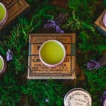 Lavender salve in a tin surrounded by lavender.