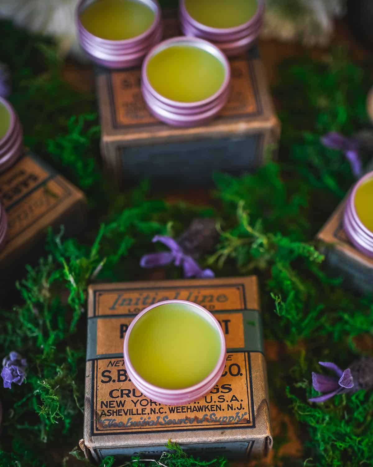 Lavender salves in tins surrounded by fresh lavender. 