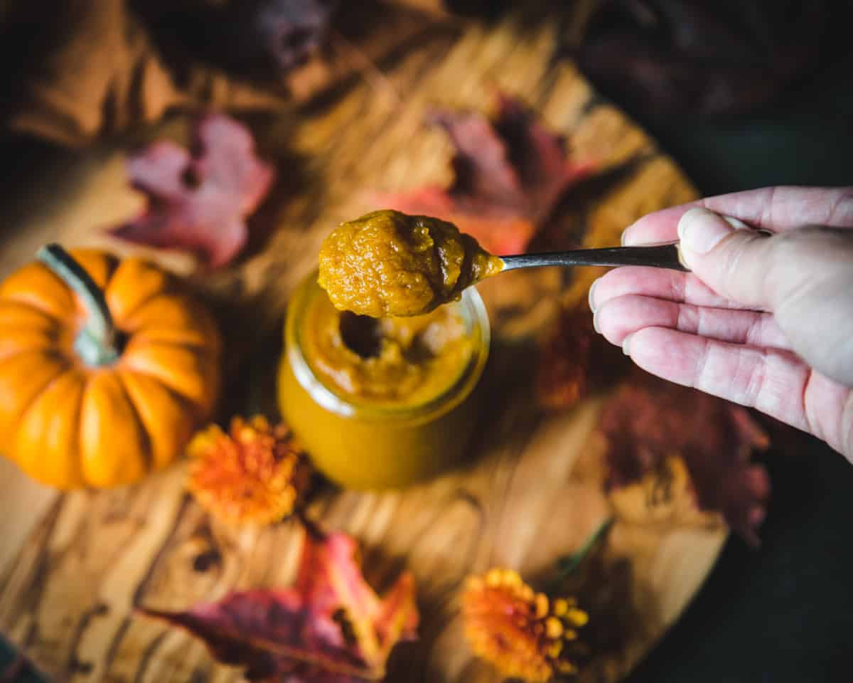 Pumpkin butter being spooned out of a jar. 