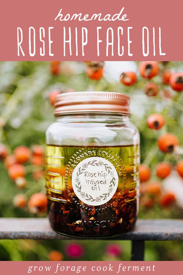 A jar of infusing rose hip face oil, and a top banner that reads homemade rose hip face oil. 