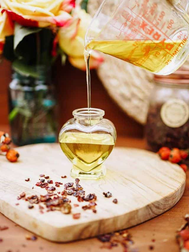 Rosehip Face Oil Recipe for Glowing Skin Grow Forage Cook Ferment