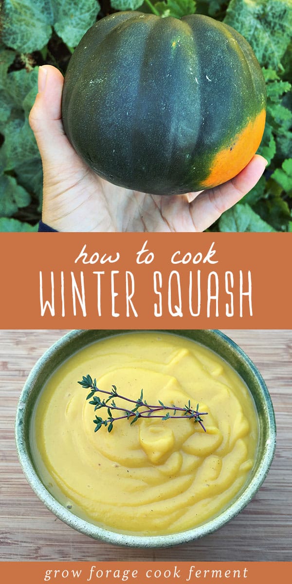 How to Cook Winter Squash 10 Easy Recipes