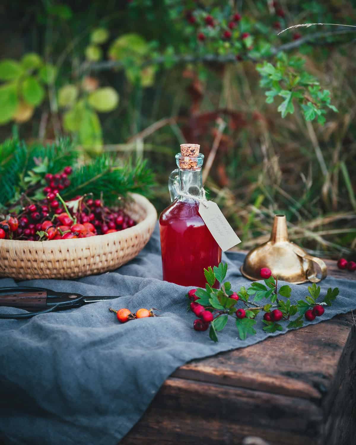 An outdoor setting with greenery, and a small jar of red colored mountain vinegar surrounded by foraged ingredients. 