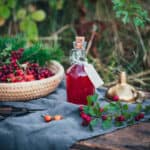 A jar of red colored vinegar with natural green plants, and a basked of rose hips surrounding.