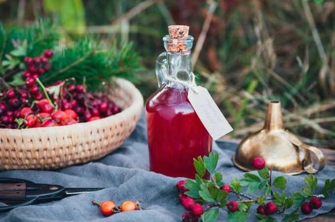 A jar of red colored vinegar with natural green plants, and a basked of rose hips surrounding.