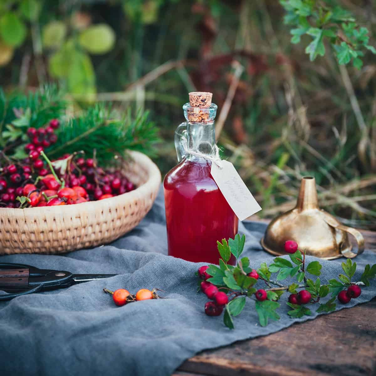 A jar of red colored vinegar with natural green plants, and a basked of rose hips surrounding. 