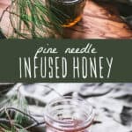 Pine Needle Infused Honey Recipe