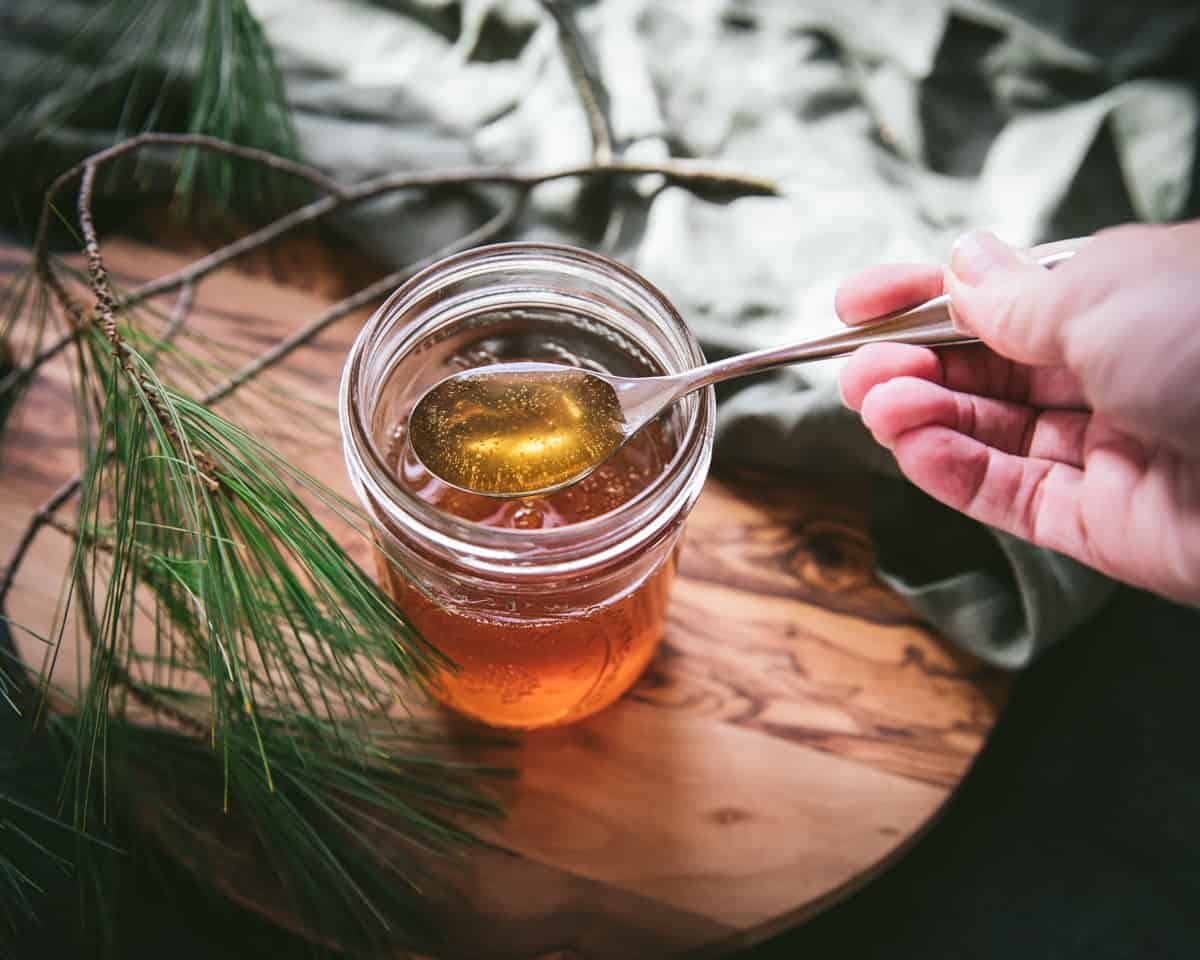 Warm colored pine infused honey with a spoon lifting out of the jar, surrounded by fresh pine fronds.