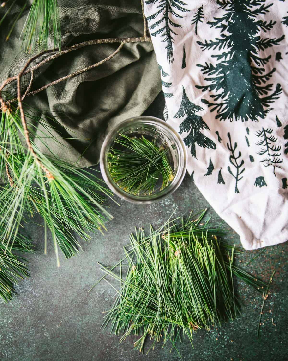 Top view of a jar filled with fresh pine needles, surrounded by pine fronds and a towel with a green tree on it.