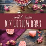 DIY Lotion Bars With Wild Rose