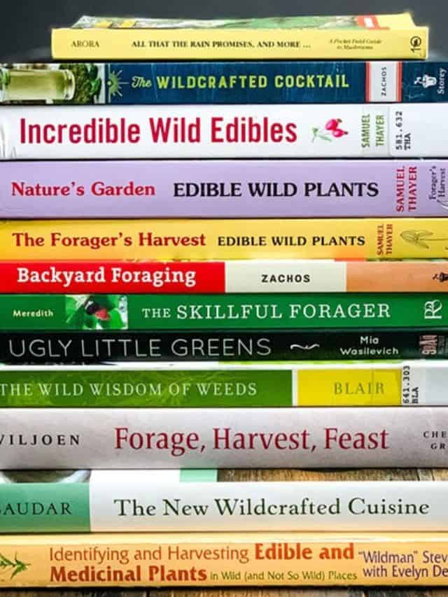 6-best-foraging-books-for-beginners-grow-forage-cook-ferment