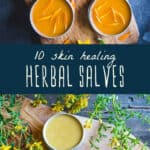 10 Herbal Salve Recipes for Homemade Skin Care