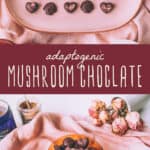 Adaptogen Mushroom Chocolate Recipe