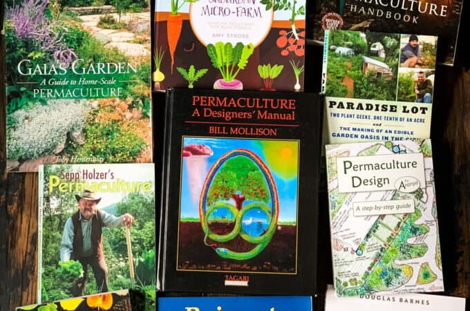 A photo of permaculture books laying face up so the covers can be seen.