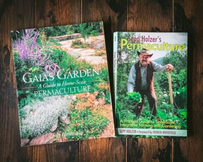 12 Best Permaculture Books for Garden Planning
