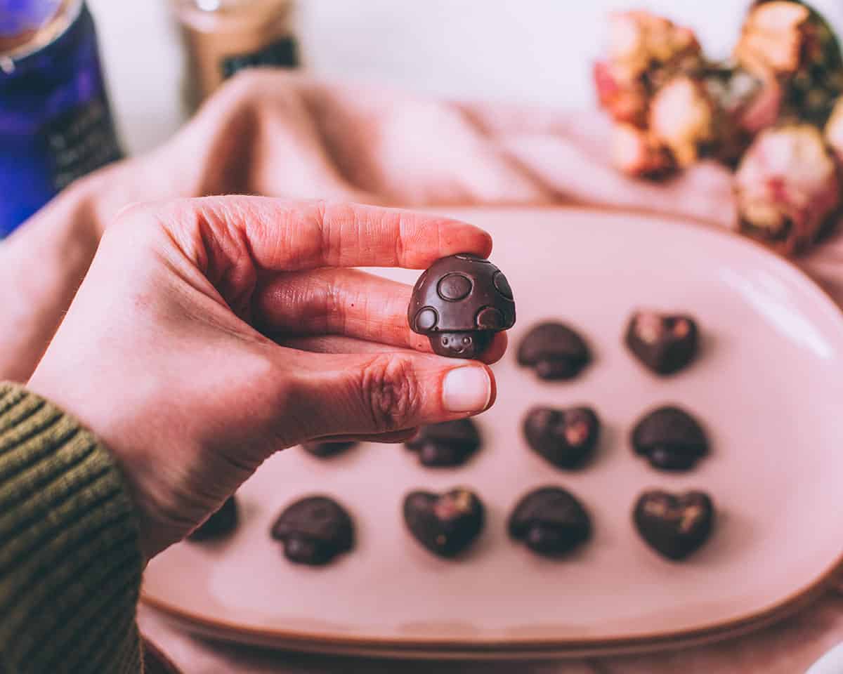 A hand holding a mushroom shaped mushroom chocolate. 