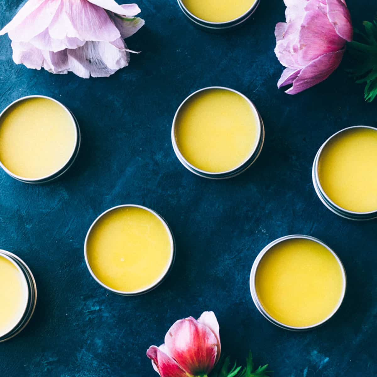 Salves in tins surrounded by pink roses, on a dark navy blue background. 