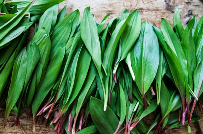 Fresh wild ramp leaves on a wood cutting board.