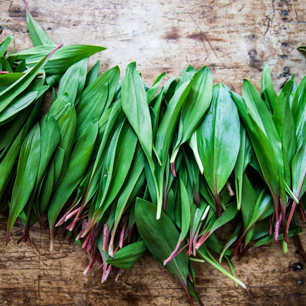 Fresh wild ramp leaves on a wood cutting board.