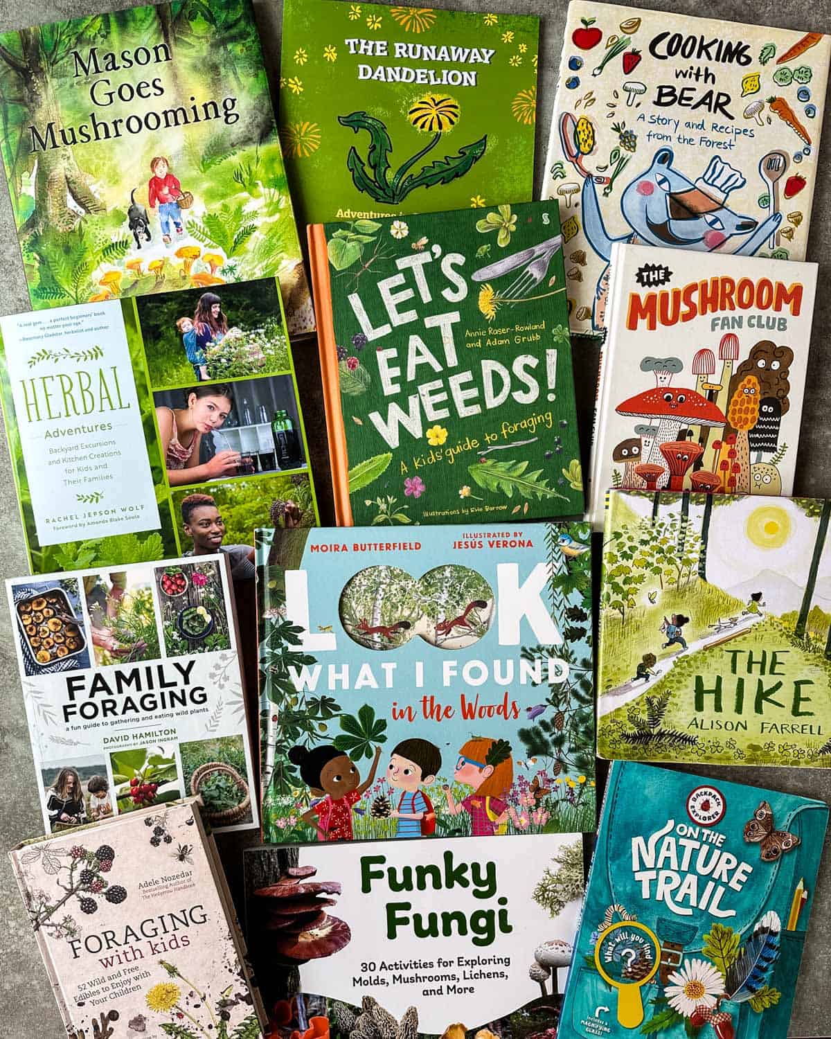 Best foraging books for kids all laid out face up.