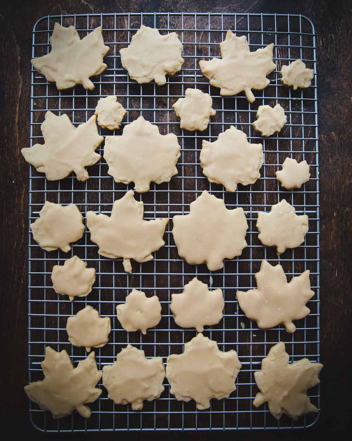 A baking sheet with a cooling rack on top full of maple leaf shaped cookies dipped in maple icing. 