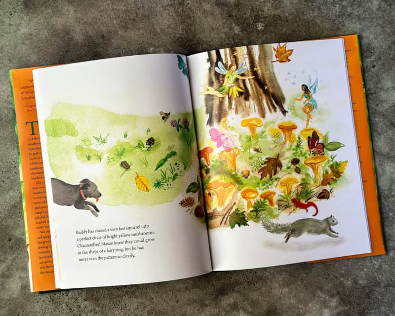 Best Foraging Books For Kids