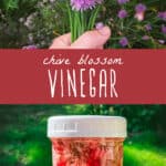 Chive Blossom Vinegar Recipe